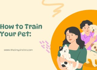 How to Train Your Pet: Essential Tips for Beginners