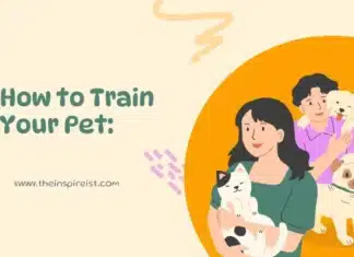How to Train Your Pet: Essential Tips for Beginners