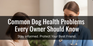 Common Dog Health Problems Every Owner Should Know